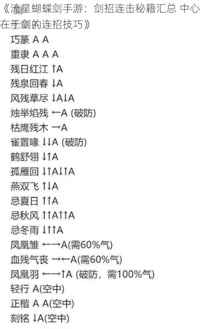 2025年流星蝴蝶剑电脑秘籍　流星蝴蝶剑电脑版秘籍