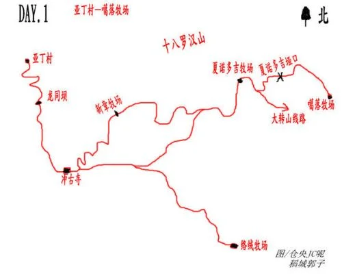 桃村小道探险：左右分支路线揭秘