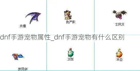 dnf手游重复的宠物-重复宠物价值意义深