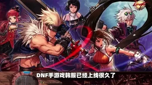 dnf手游韩服没中文-韩服无中文仍吸引玩家