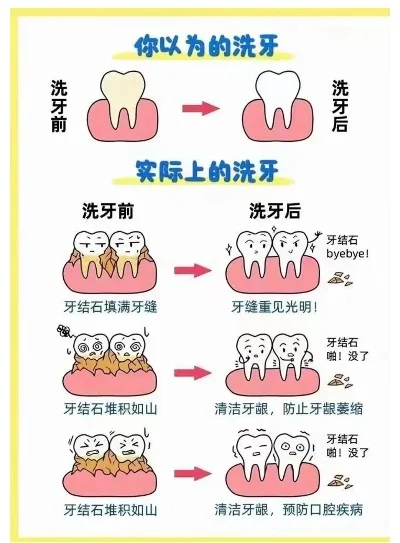 洗完澡刷牙游戏排行榜-旅行洗澡刷牙游戏