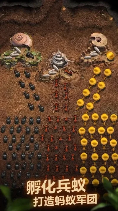 兵蜂游戏排行榜-兵蜂经典排行解析