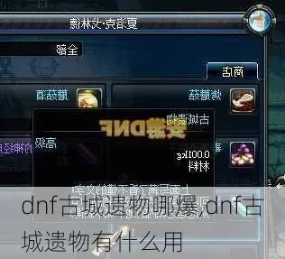 dnf封印的古代遗物里面有什么-dnf古代遗物大揭秘