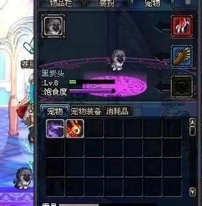dnf黑炭头宠物外观-DNF黑炭头宠物外观解析