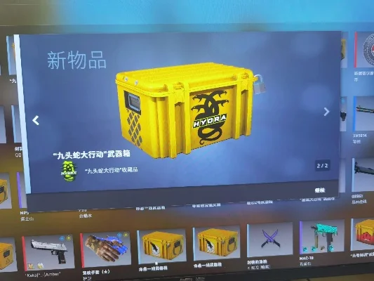 九头蛇大行动武器箱什么时候出的-九头蛇武器箱何时出