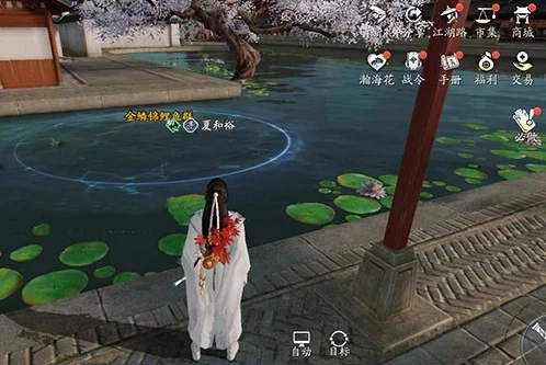 天涯明月刀手游锦鲤押注-天涯明月刀锦鲤体验