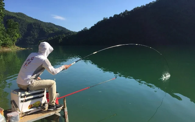 新手钓鱼入门基本知识-新手钓鱼入门知识