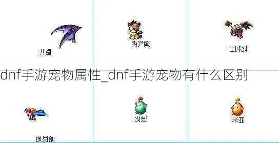 dnf手游宠物技能详解-dnf宠物技能详解与搭配