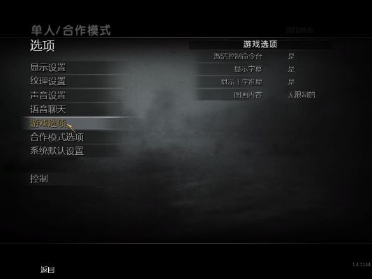 使命召唤5控制台命令