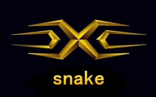 snake战队队标-Snake战队标志设计解析