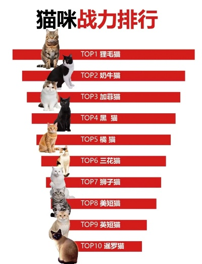 最催泪的猫咪游戏排行榜来了