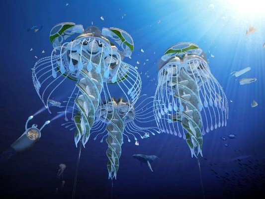 什么是打孔巨匠的海洋生物_揭秘深海建筑师
